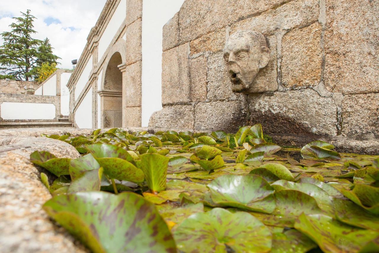 Villa Casa De Quinta Marco de Canavezes Exterior foto